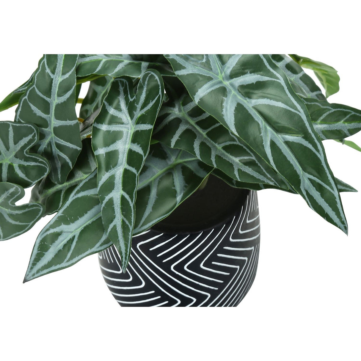 Artificial Alocasia Plant (Set of 2)