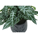 Artificial Alocasia Plant (Set of 2)