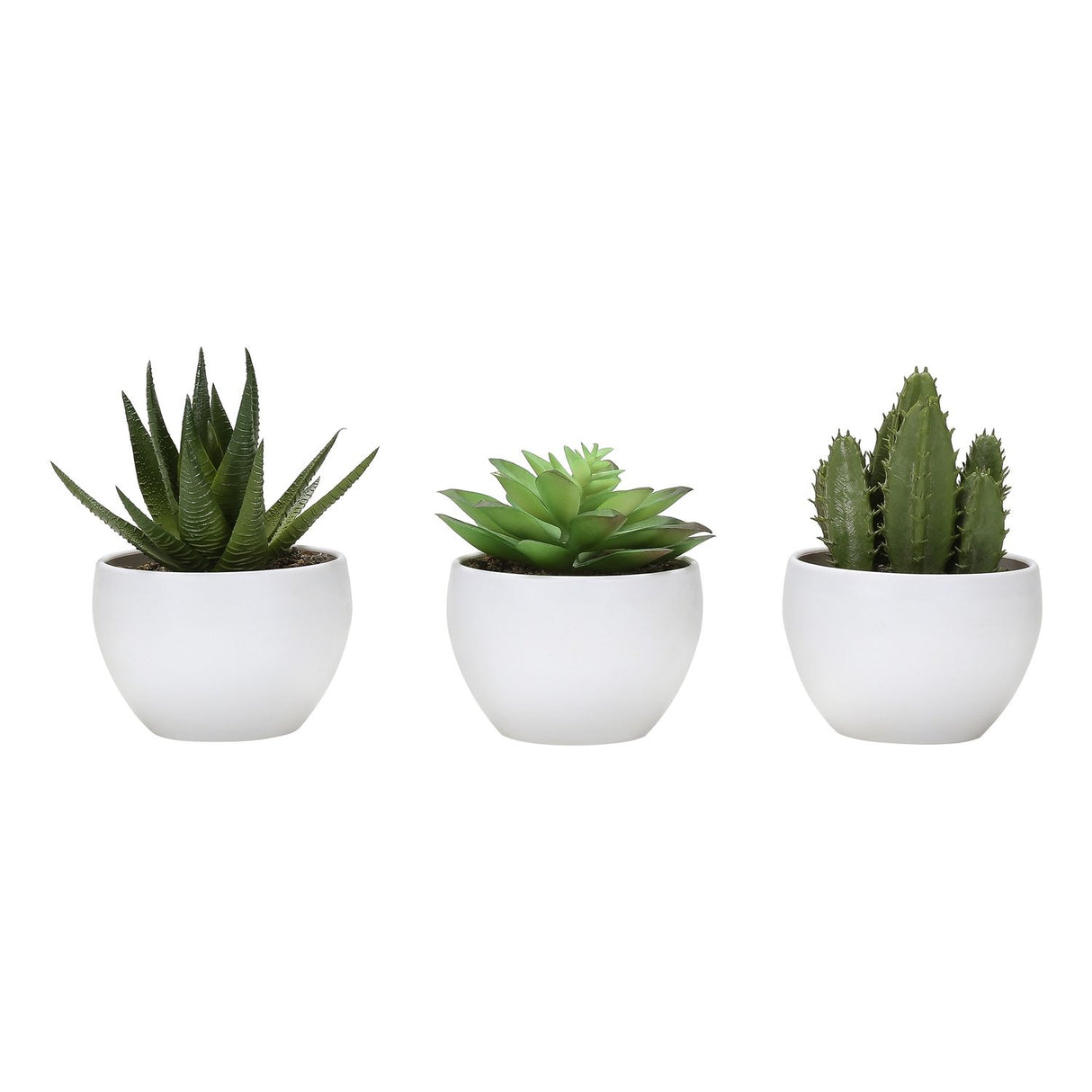 Artificial Succulent Plants (Set of 3)