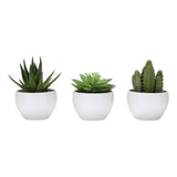 Artificial Succulent Plants (Set of 3)