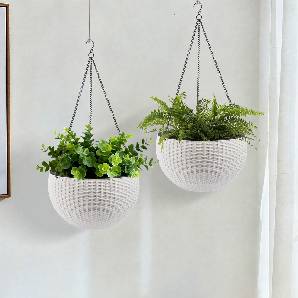 Self Watering Hanging Planter