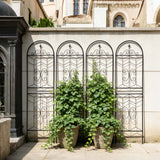 Garden Trellis, Rustproof Support For Climbing Plants
