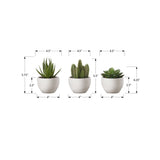 Artificial Succulent Plants (Set of 3)