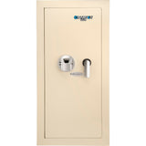 Durable Biometric Wall Safe