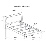 Strick & Bolton - High Gloss Panel Bed With LED Lights