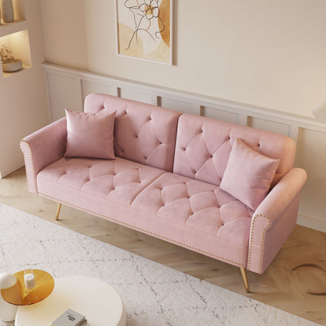 Luxurious Sofa Bed With Nail Head Trim And Matching Pillow