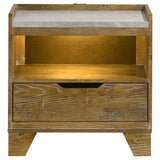 Packard - 1 Drawer Nightstand With LED Lighting And USB Charging - Oak