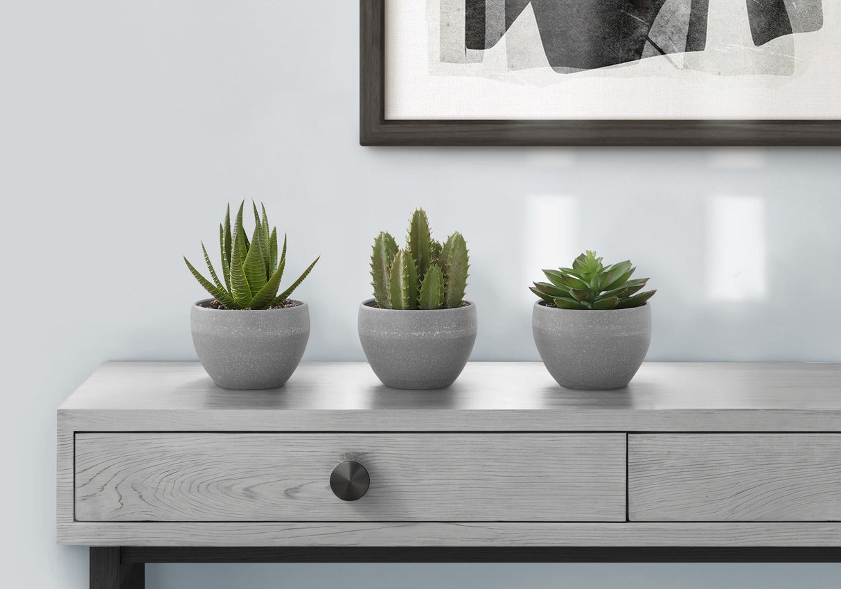 Artificial Succulent Plants (Set of 3)