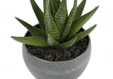 Artificial Succulent Plants (Set of 3)