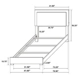 Jeremiah - LED Panel Bed With Touch Controlled Lighting