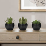 Artificial Succulent Plants (Set of 3)