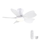 Low Profile Flush Mount Ceiling Fan With Light