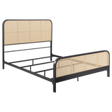 Randall - Bed