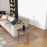Desk Lamp With Drum Shade - Black
